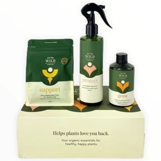 We The Wild - Large Trio Plant Care Pack