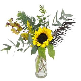 Simple sunflower stem in bud vase with complimenting foliage - Same day Melbourne delivery