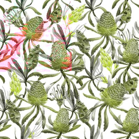 Banksias and Pods - Gift Card