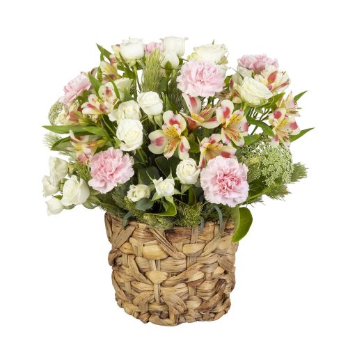 Delicate Carnations - Carnation & Alstroemeria Arrangement (Interflora)