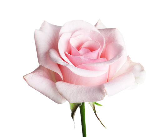 Extra Flower Value