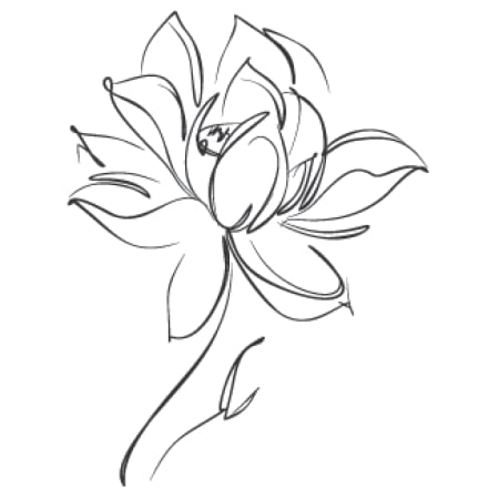 Waterlily - Gift Card