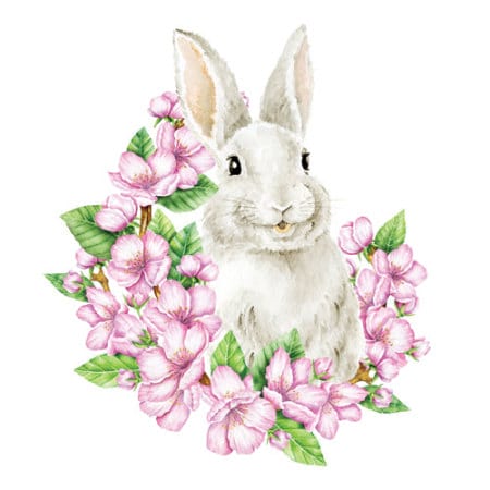 White Bunny - Gift Card