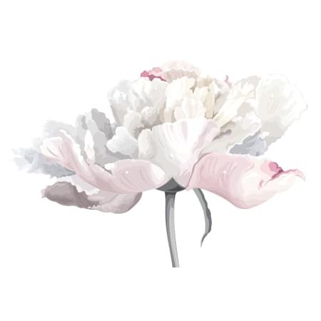 White Peony - Gift Card