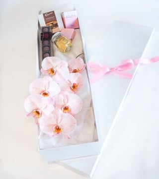 Chocolates, Wine, Candle and Phalaenopsis Orchid Gift Box.