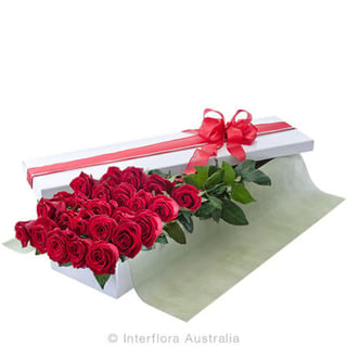 2 Dozen long stem roses only gift box