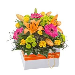 Stunning bright and colourful box arrangement for birthday, get well or just because. Melbourne same day delivery.