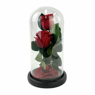 Amore - lasting preserved red rose arrangement in glass dome