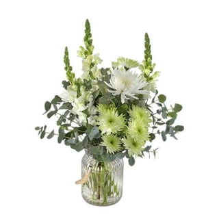 White snapdragon, green chrysanthemum, white disbud and gum bouquet in clear textured vase. Melbourne Delivery