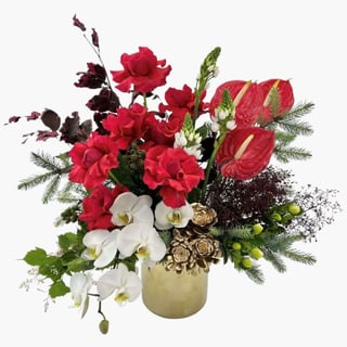 Carols - Premium red rose, orchid and succulent with christmas foliage in gold vase.