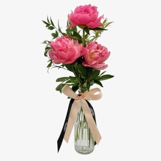 Coral Peony with Vase