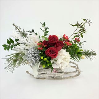 Red roses, white hydrangea, silver hydrangea, white orchids and christmas foliage arrangement in sleigh.