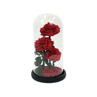 3 Stem Preserved Red Rose Dome. Three stems of preserved red roses in glass dome gift box.