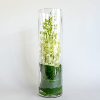 Tall vase arrangement featuring white singapore orchids with leaf lined wrap.
