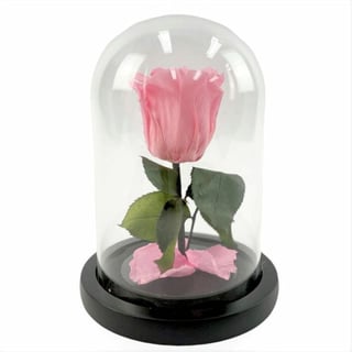 Everlasting Pink Rose in Small Glass Dome - Melbourne delivery