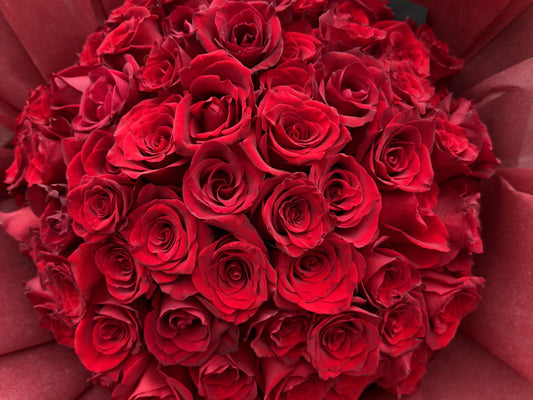 The Language of Roses: What the Different Colours Mean