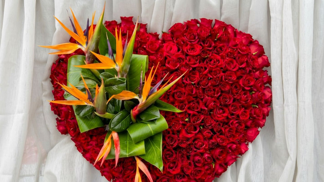 Stunning 200 Red Rose Funeral Heart and Bird of Paradise Flower Tribute - Preston Sympathy Flower Delivery