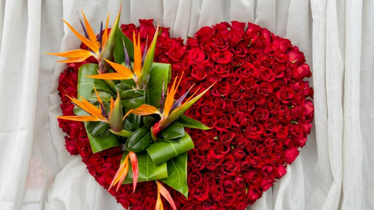 Stunning 200 Red Rose Funeral Heart and Bird of Paradise Flower Tribute - Preston Sympathy Flower Delivery