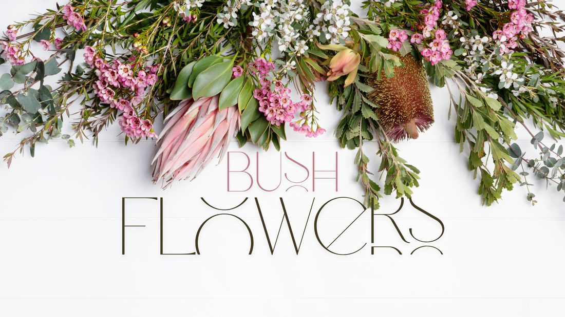 Embrace the Beauty of Native Foliage with Lillypad Flowers - Your Melbourne Florist