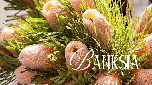Bold, Unique, and Beautiful - Banksia Flowers from Lillypad Flowers, Your Melbourne Florist
