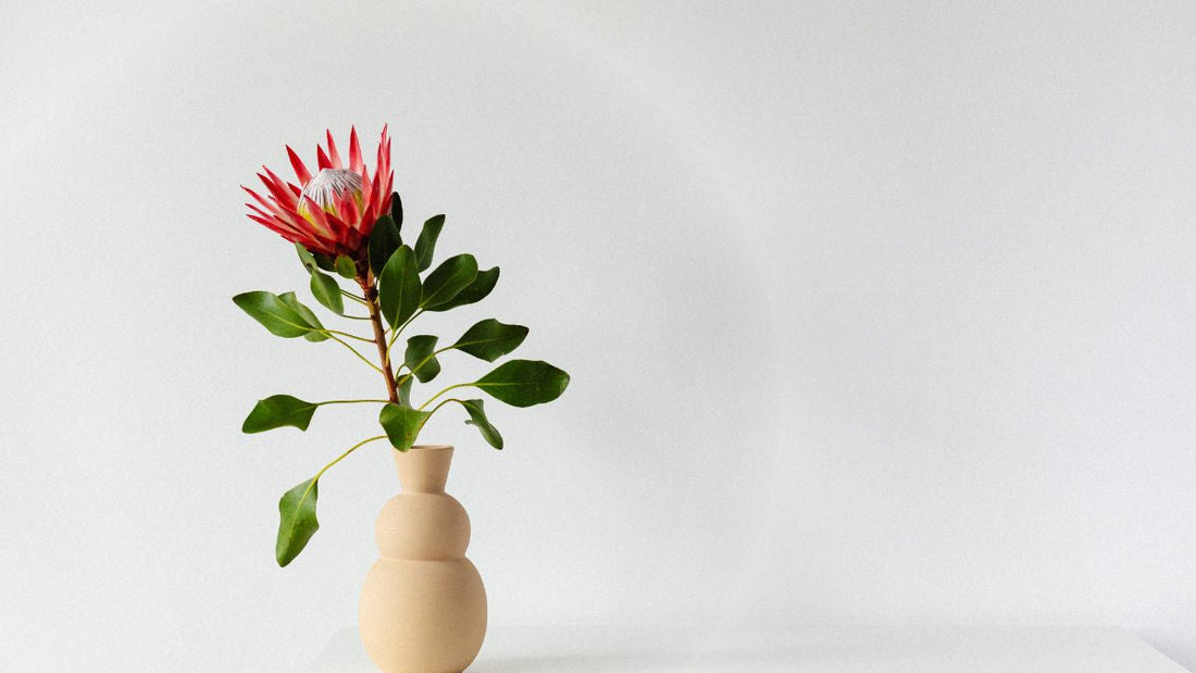 Birthday Flowers with Same Day Delivery in Melbourne, Celebrate Every Moment | Lillypad Flowers