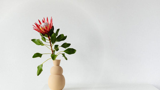 Birthday Flowers with Same Day Delivery in Melbourne, Celebrate Every Moment | Lillypad Flowers