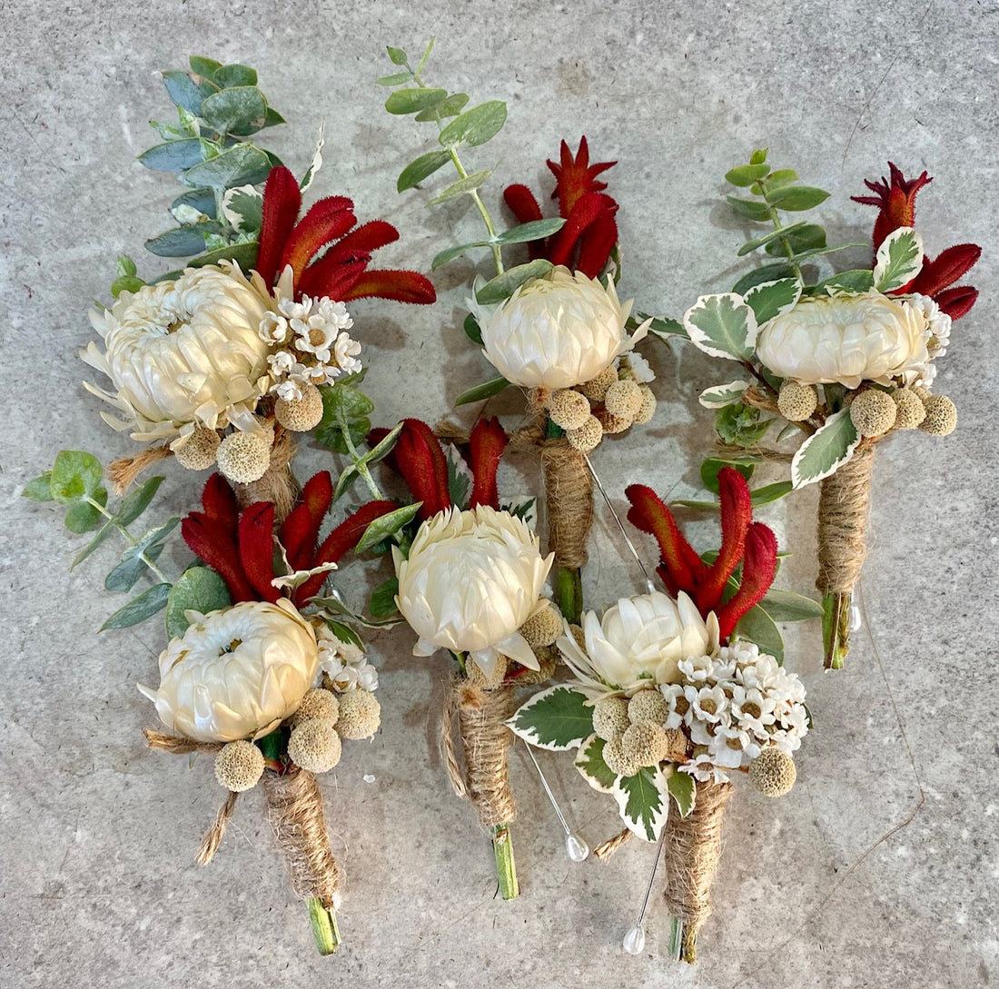 Paper daisy kangaroo paw gum groom buttonhole flowers Melbourne