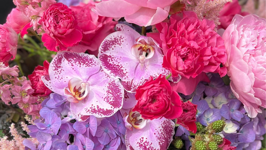Graduation Flowers: Celebrate Academic Success in Melbourne Style