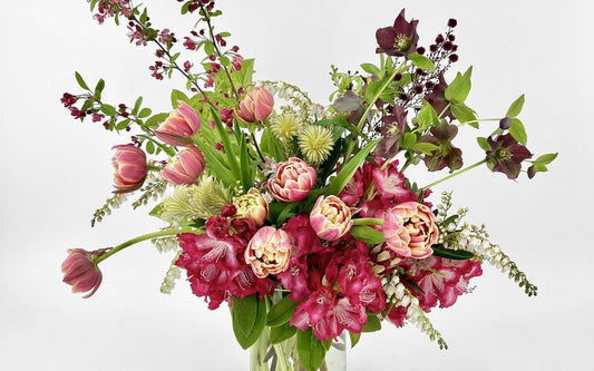 Quick Flower Care Guide