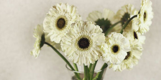 Lillypad Flowers Care Guide - Keeping Your Blooms Beautiful