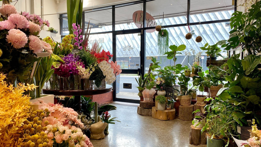 Lillypad Florist Old Home in Reservoir