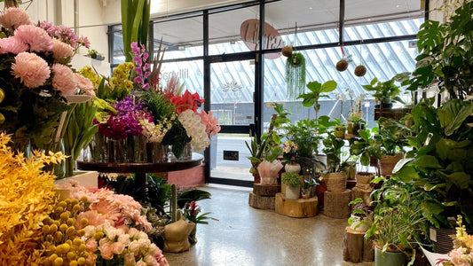Lillypad Florist Old Home in Reservoir