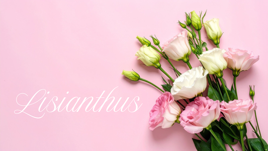 Beautiful Lisianthus Flowers with Same Day Delivery in Melbourne