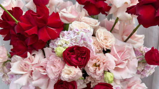 Pink Red Roses Hydrangea Orchid Luxury Flowers Melbourne Same Day Delivery