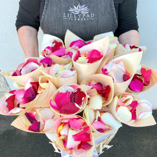 Rose Petals Melbourne – Fresh Rose Petals for Weddings, Anniversaries & Romantic Occasions