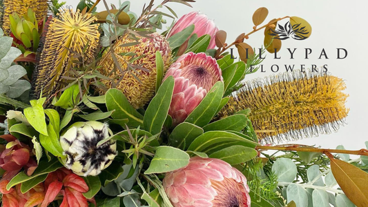 Protea Flower Arrangements - Same Day Delivery in Melbourne, Lillypad Flowers