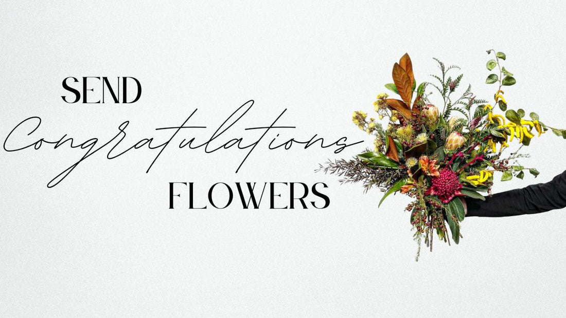 Send Congratulations Flowers | Melbourne Florist with Same Day Delivery | Lillypad Flowers