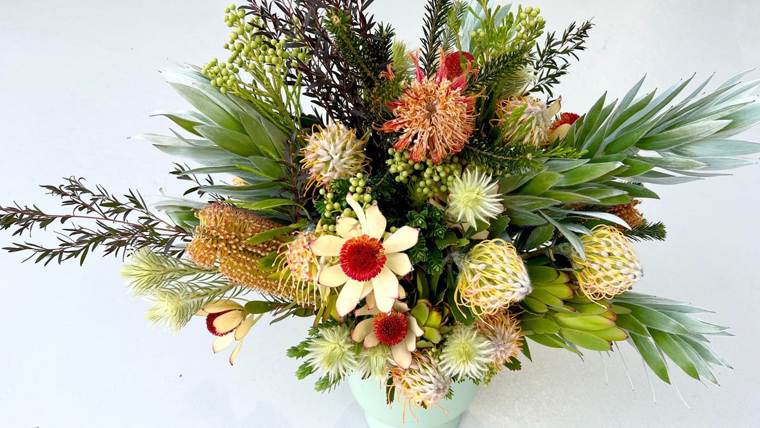 Orange Banksia Pincushion Berzelia Phylica Native Sympathy Flowers Melbourne