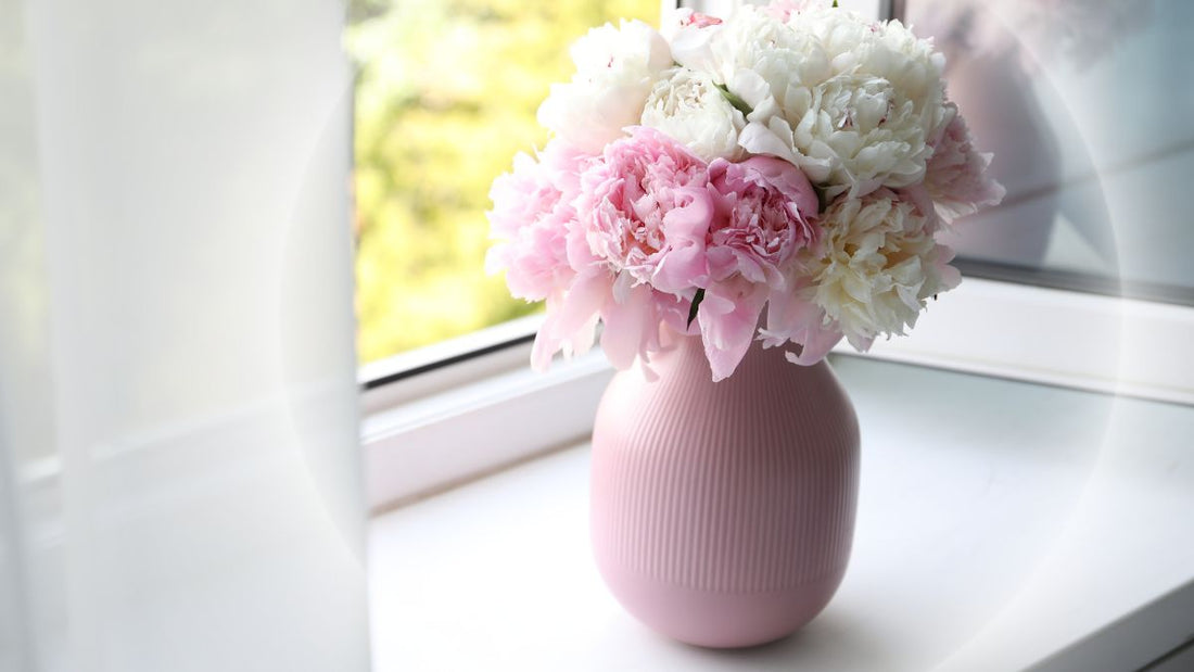 New Home Flowers - Same Day Delivery Melbourne, Lillypad Flowers