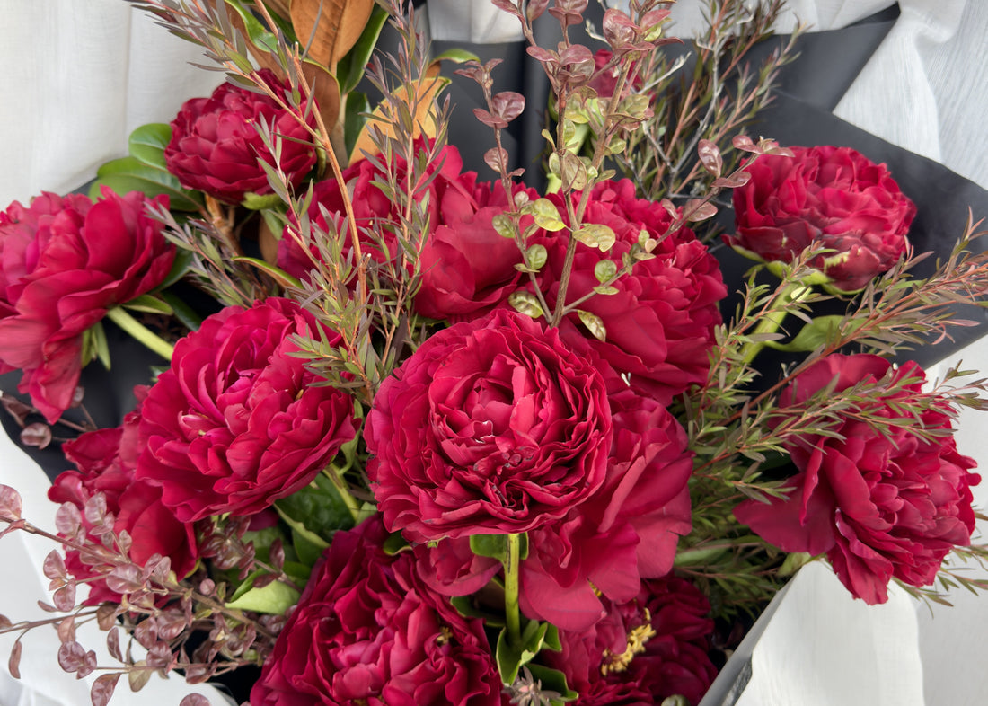 Burgandy Peony Flowers Lillypad Melbourne Florist