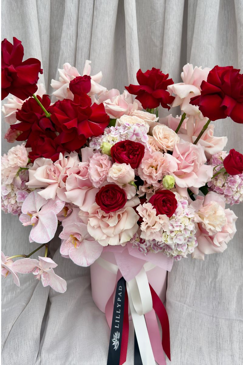 Luxury pink and red rose arrangement with white phalaenopsis orchids in premium vase by Lillypad Flowers Melbourne, same day flower delivery, $200–$300 range