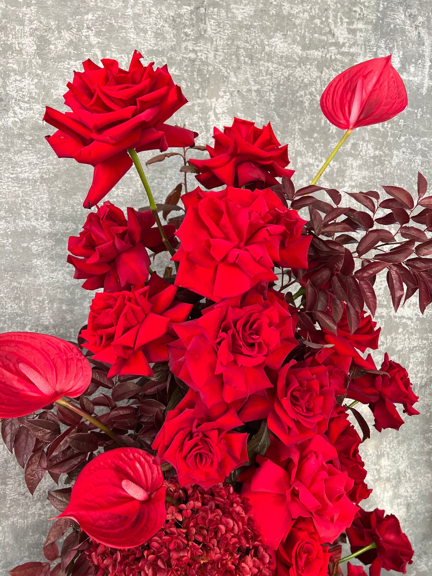 Red Flowers - Melbourne Flower Delivery