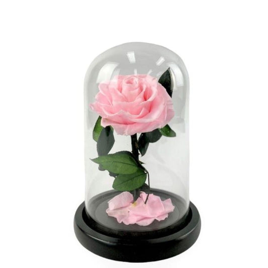 Appreciation - Mother's Day Love - Preserved Rose in Glass Dome