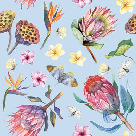 Bird of Paradise - Gift Card