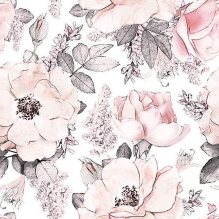Blush Pink Garden Rose