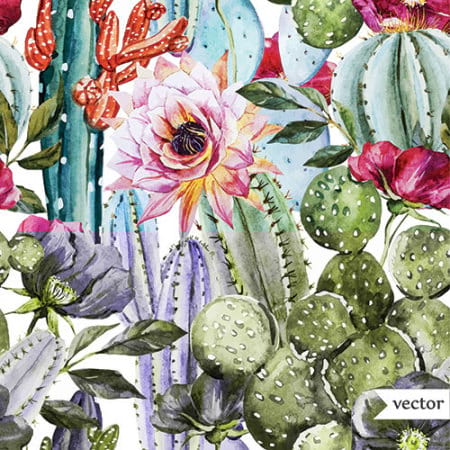 Cactus Flowers - Gift Card