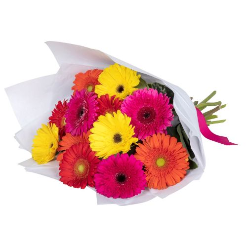 Bouquet of colorful gerbera flowers wrapped in white paper beautiful for a get well soon melbourne florist 