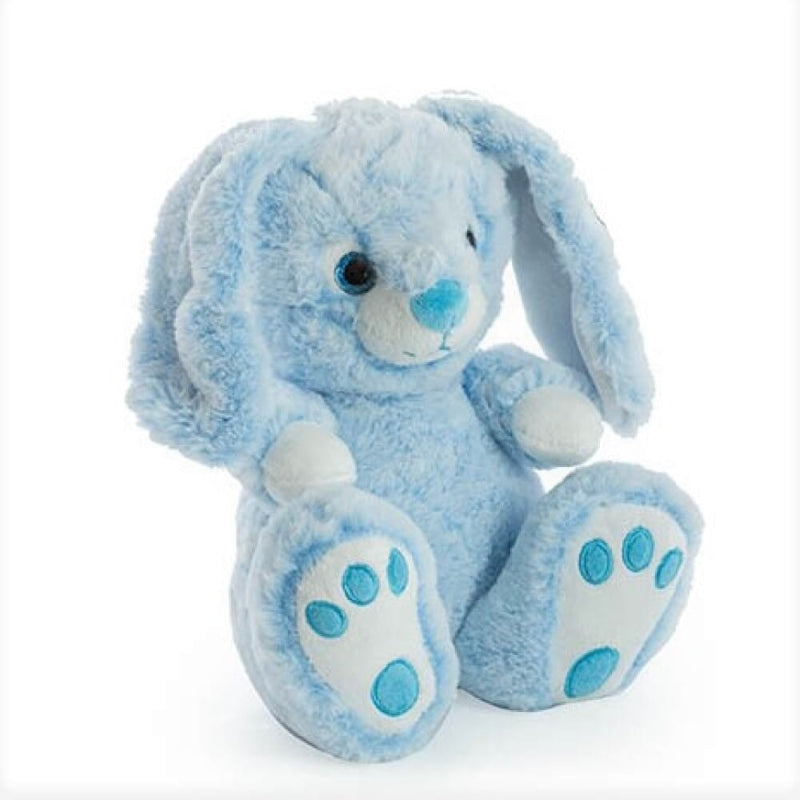 Dash Bunny - Teddy Bear