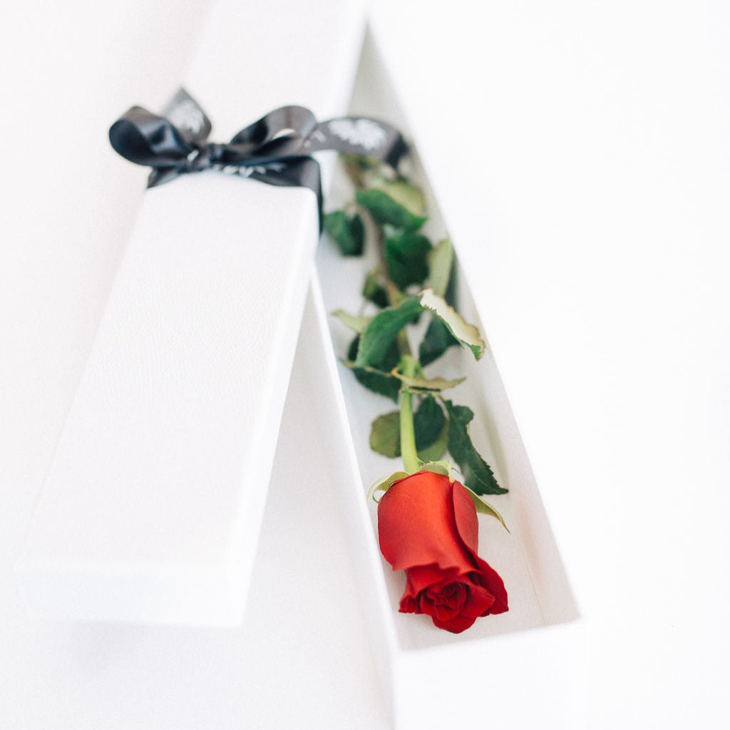 First Kiss - Single Long Stemmed Red Rose In Gift Box