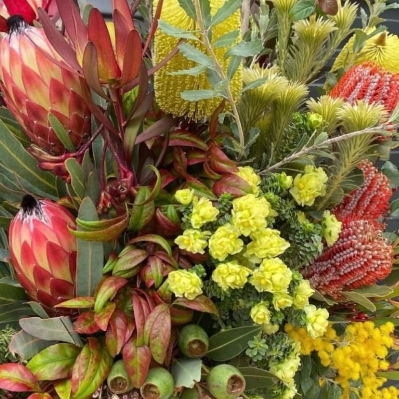 Florist Choice Native Seasonal Flower Bouquet - Australian Wildflowers